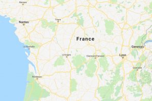 Des centaines de dauphins morts s'échouent sur la côte française