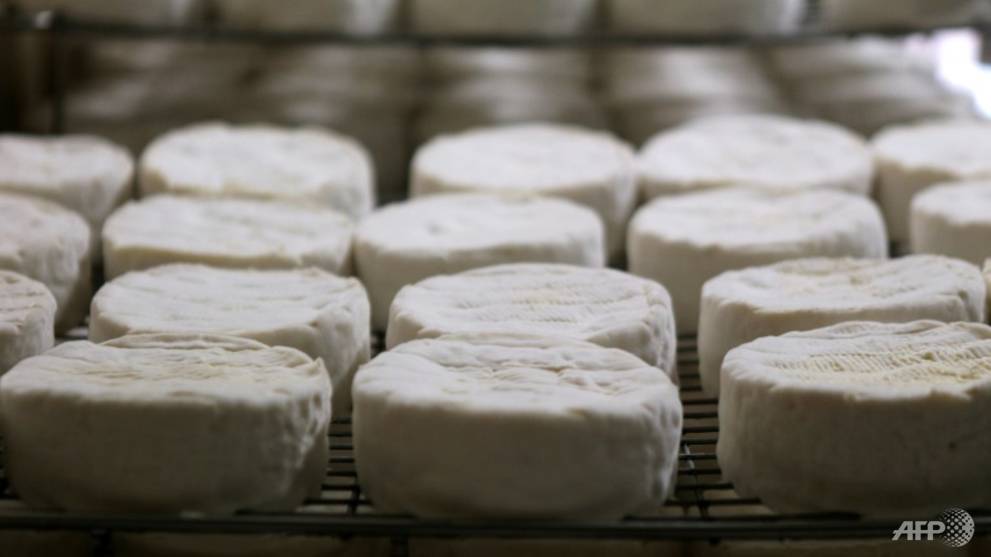 Un fromage français rappelé en Allemagne suite à une alerte à E. coli