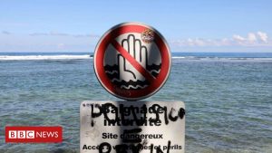 Attaque de requins: un surfeur tué au large de la Réunion (France)