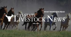 SAF: la France annonce l'interdiction du glyphosate en 2021