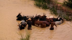 Un consortium français va développer le plus grand projet hydroélectrique de Madagascar - Actualités