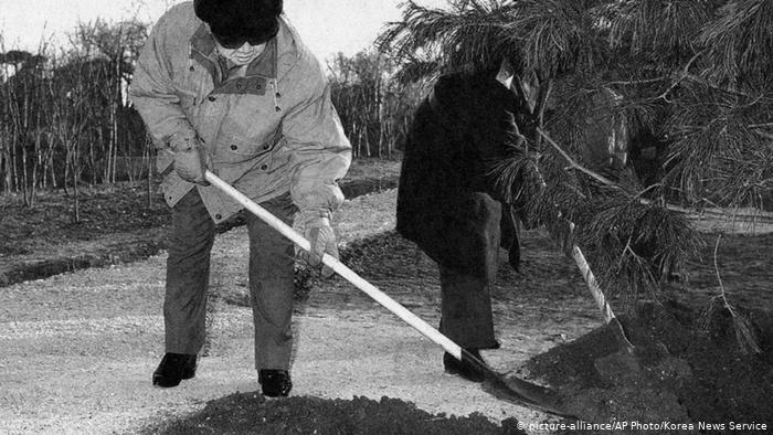 Le dirigeant nord-coréen Kim Jong Il a planté un arbre en 2004.