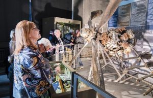 L'avion du Norfolkan et son parachute exposés dans une exposition en France | Nouvelles