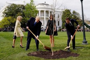 A Symbol of US-France Friendship, Oak Tree Offered to Trump by Macron Dies
