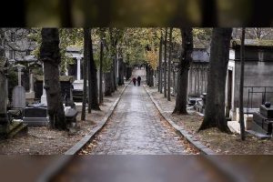 Emirates News Agency - La France va créer un espace de cimetière écologique