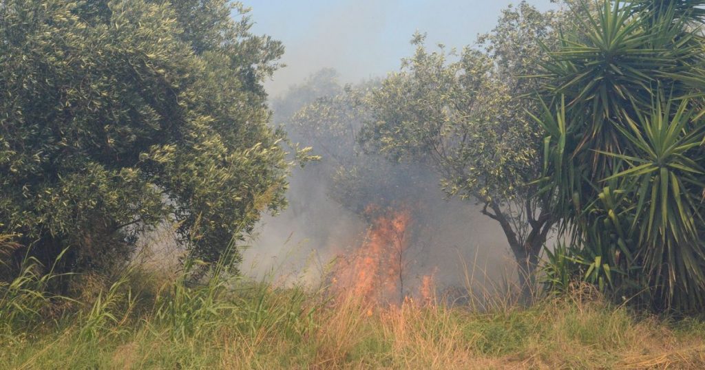Incendies de forêt en France: des milliers de touristes évacués des campings prisés des Britanniques - World News