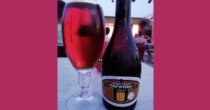Bière: la «Bona» est brassée dans le pays catalan français