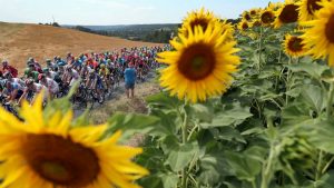 Egan Bernal remporte le Tour de France - ABC 36 News - WTVQ