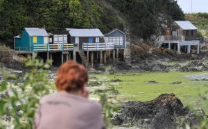 Les vacanciers avertis de la présence d'algues toxiques sur les plages françaises après deux décès en une semaine