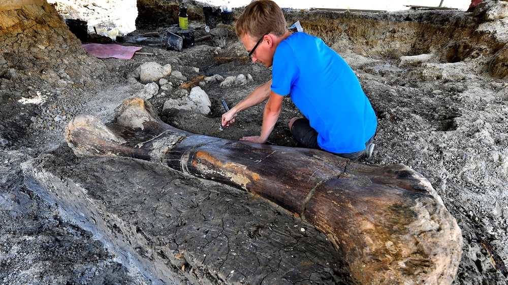 «Découverte majeure»: un os de dinosaure géant mis au jour en France | France Nouvelles